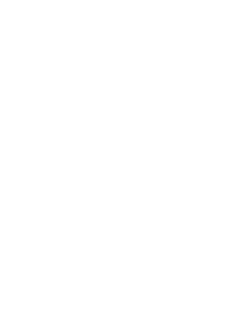 Logo Renault Rousseau Automobile